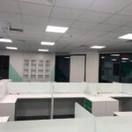 Stavian Group Office