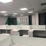 Stavian Group Office